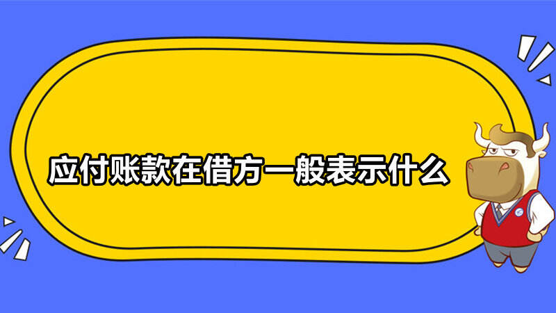 应付账款在借方一般表示什么