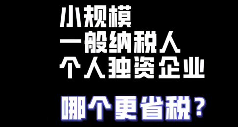 小规模 一般纳税人 个人独资企业 哪个更省税？