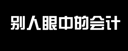 “大公司的财务都在做什么”之会计