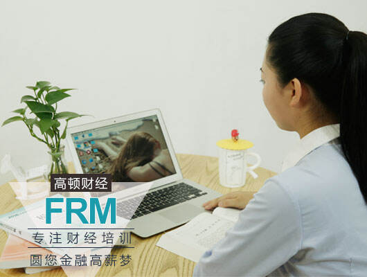 FRM中文资料
