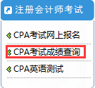 cpa成绩查询