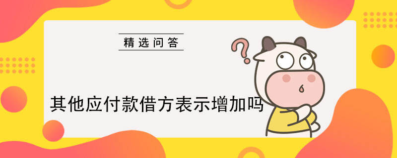 其他應(yīng)付款借方表示增加嗎