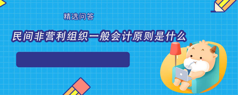 民間非營(yíng)利組織一般會(huì)計(jì)原則是什么