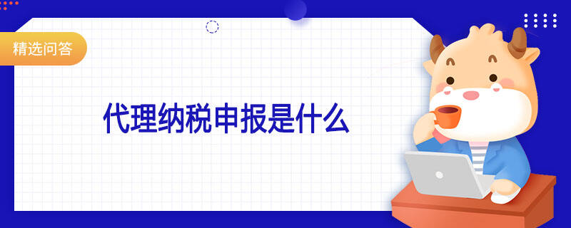 代理纳税申报是什么