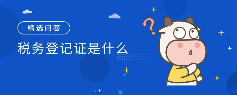 税务登记证是什么