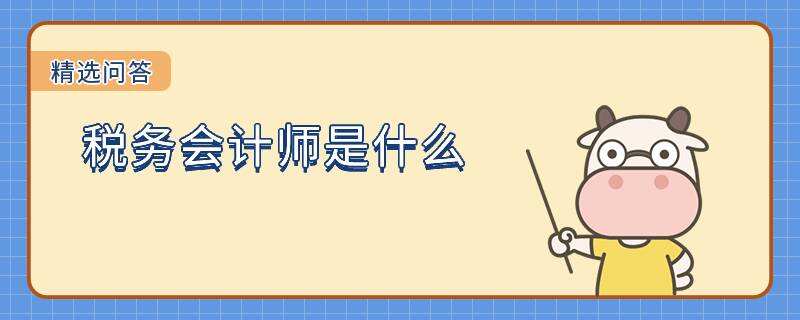 稅務會計師是什么