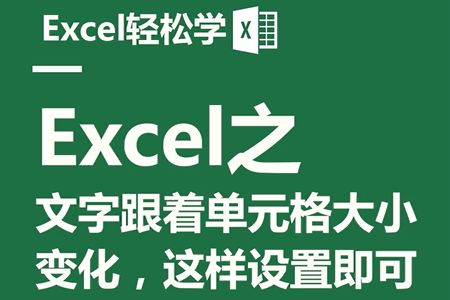 Excel之文字跟着单元格大小变化，这样设置即可