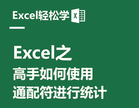 Excel之高手如何使用，通配符进行统计