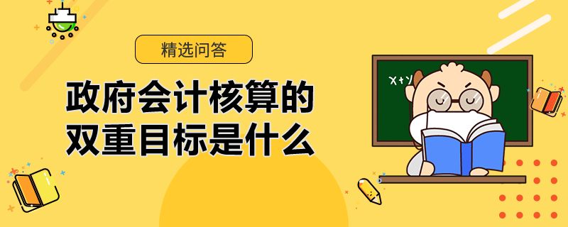 政府会计核算的双重目标是什么