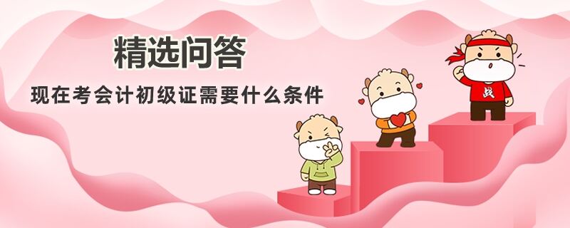 报考初级会计证的条件是什么