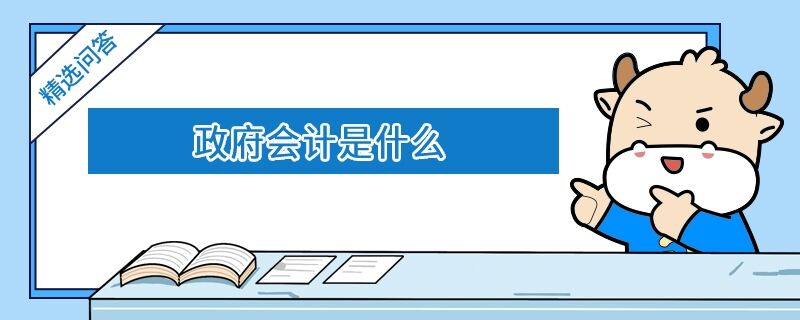 政府會計是什么