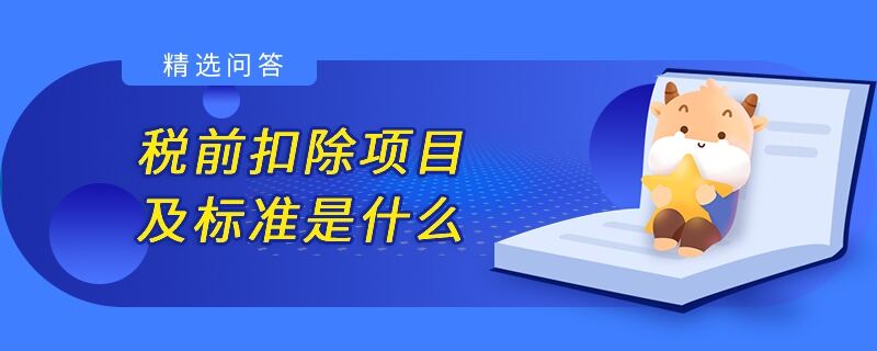 税前扣除项目及标准是什么