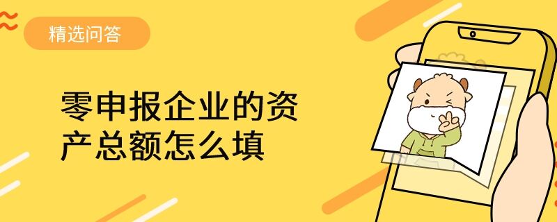 零申報企業(yè)的資產(chǎn)總額怎么填