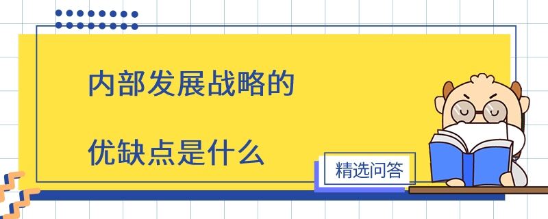 内部发展战略的优缺点是什么