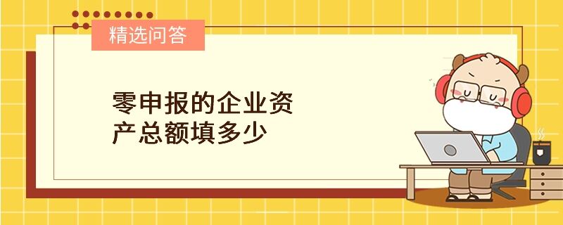 零申报的企业资产总额填多少