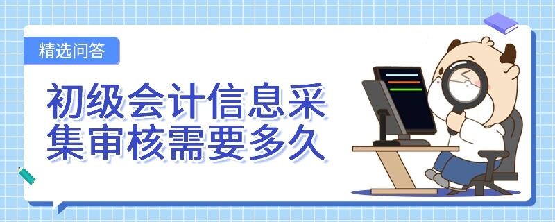 初级会计信息采集审核需要多久