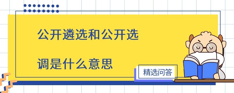 公开遴选和公开选调是什么意思