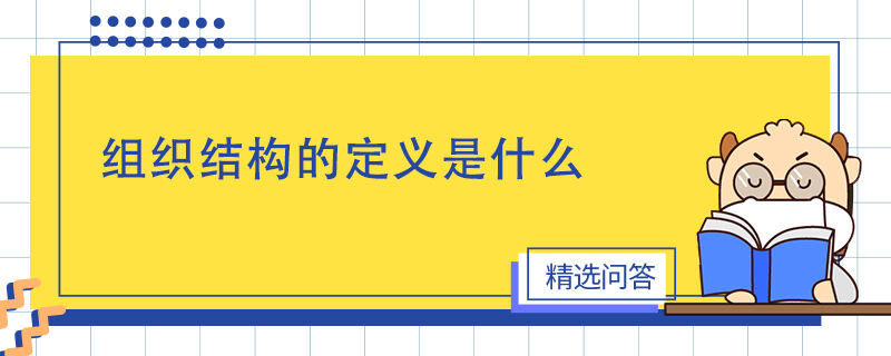 組織結(jié)構(gòu)的定義是什么