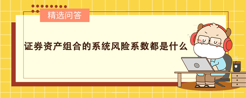 證券資產(chǎn)組合的系統(tǒng)風險系數(shù)都是什么