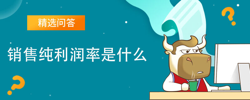 銷售純利潤(rùn)率是什么