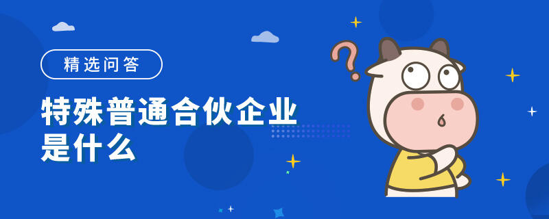 特殊普通合伙企业是什么