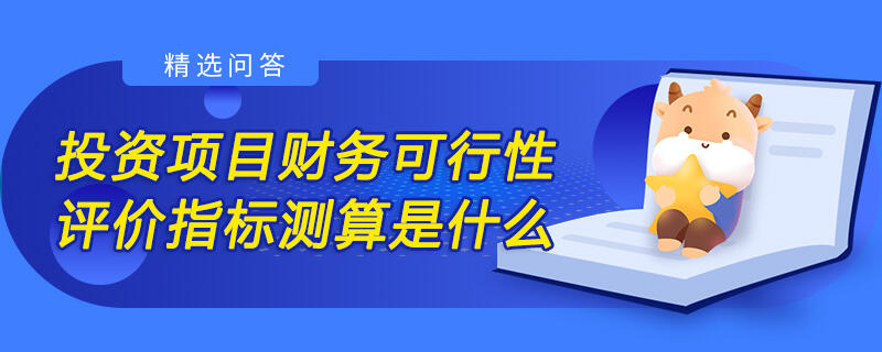 投資項目財務可行性評價指標測算是什么