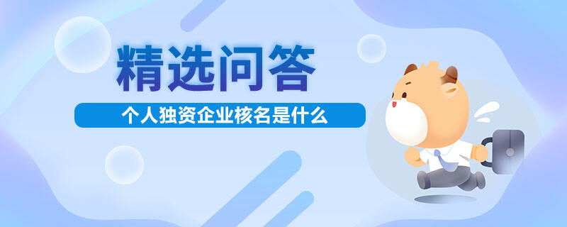 個人獨(dú)資企業(yè)核名是什么