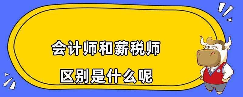 会计师和薪税师区别是什么呢