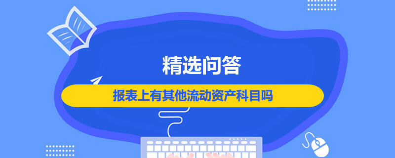 报表上有其他流动资产科目吗