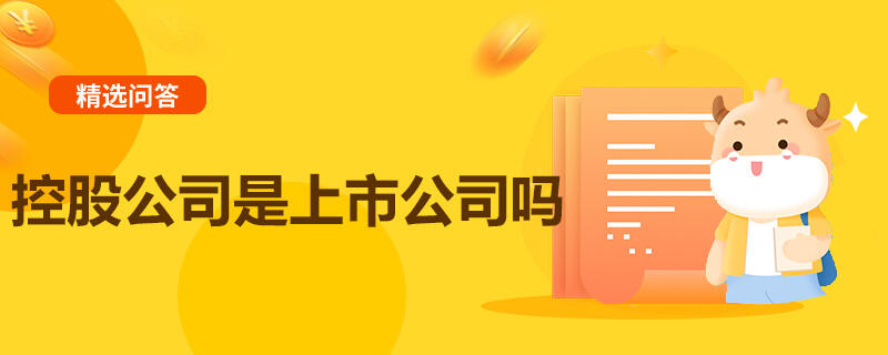 控股公司是上市公司嗎