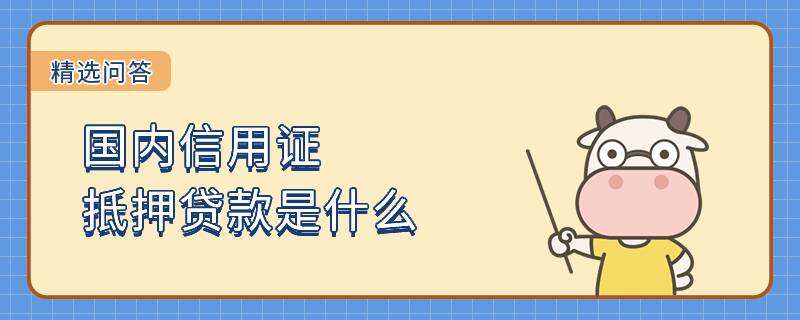 國內信用證抵押貸款是什么