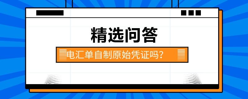 電匯單自制原始憑證嗎