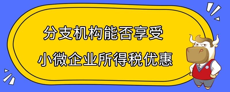 分支機構(gòu)能否享受小微企業(yè)所得稅優(yōu)惠