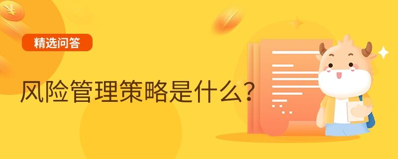 風(fēng)險管理策略是什么