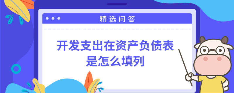 开发支出在资产负债表是怎么填列