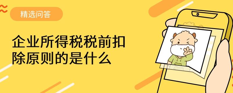 企業(yè)所得稅稅前扣除原則的是什么