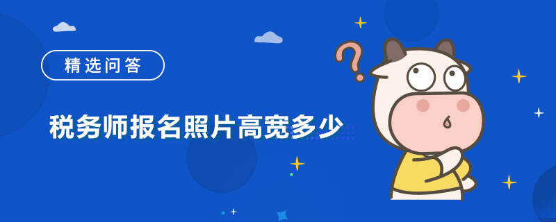 税务师报名照片高宽多少