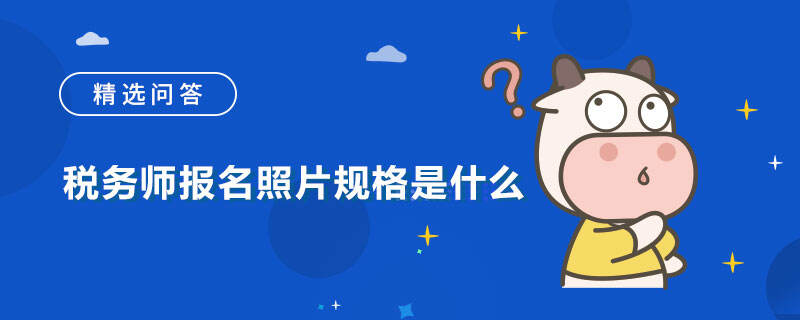 税务师报名照片规格是什么