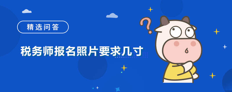 税务师报名照片要求几寸