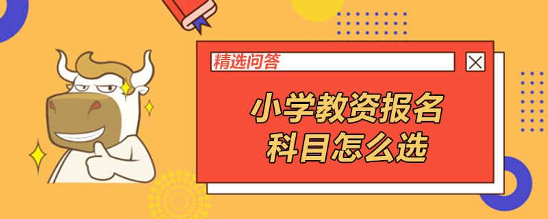 小學教資考試科目怎么選