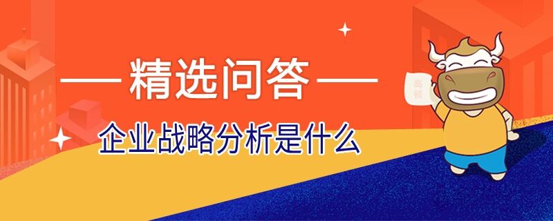 企業(yè)戰(zhàn)略分析是什么