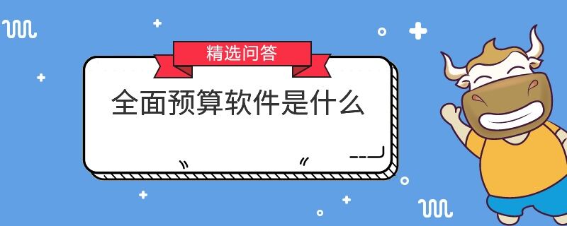 全面預算軟件是什么