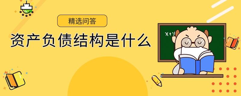 資產(chǎn)負債結(jié)構(gòu)是什么