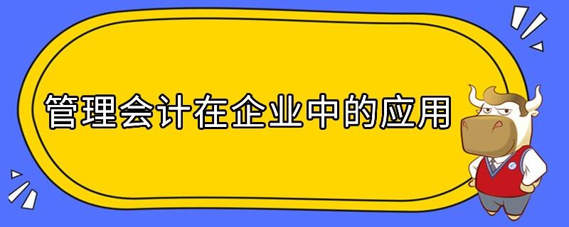 管理會(huì)計(jì)在企業(yè)中的應(yīng)用