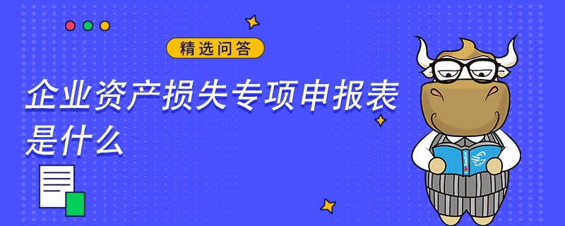 企业资产损失专项申报表是什么