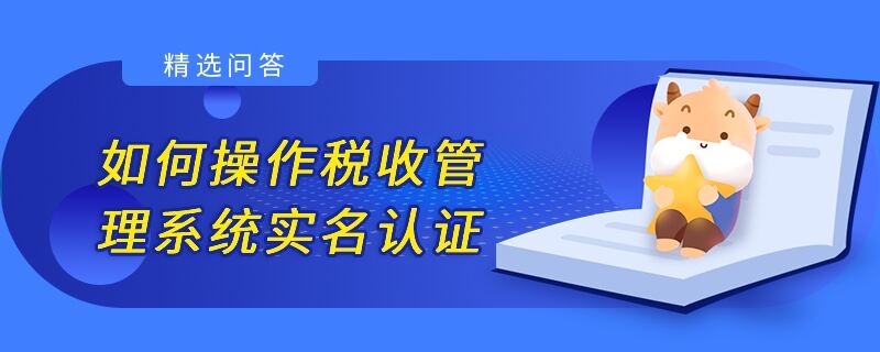 如何操作税收管理系统实名认证