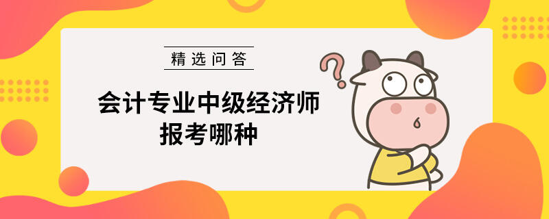 会计专业中级经济师报考哪种