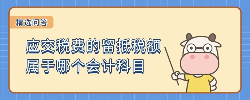 应交税费的留抵税额属于哪个会计科目