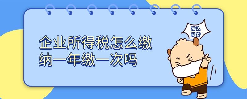 企业所得税怎么缴纳一年缴一次吗