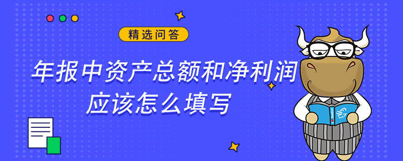 年报中资产总额和净利润应该怎么填写